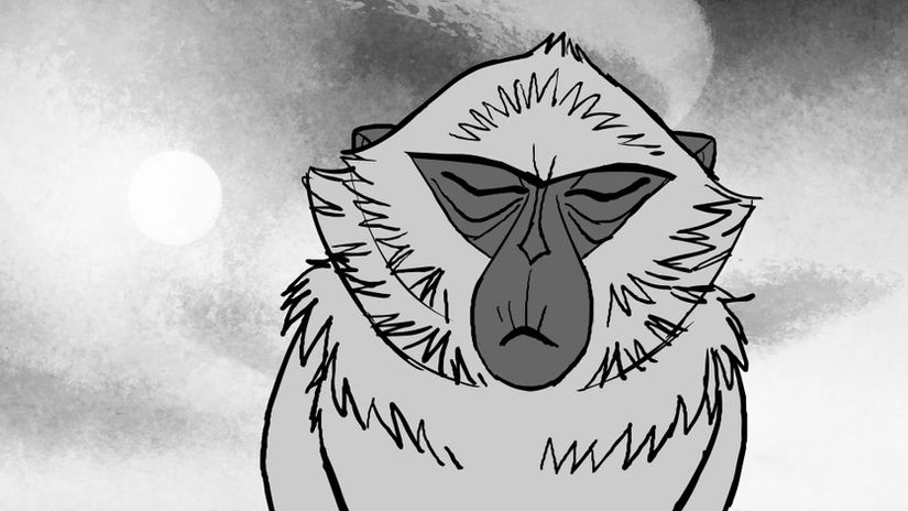 005.Monkey_FullCharActing